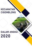 Cigemblong Subdistrict in Figures 2020